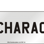 BSAUe Mandatory_BLACK-Characters
